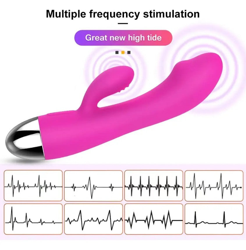 Vibrador doble motor